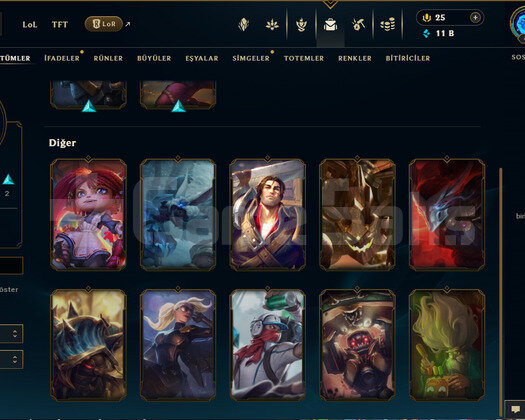 TR 40 LEVEL SHACO MAİN HESAP