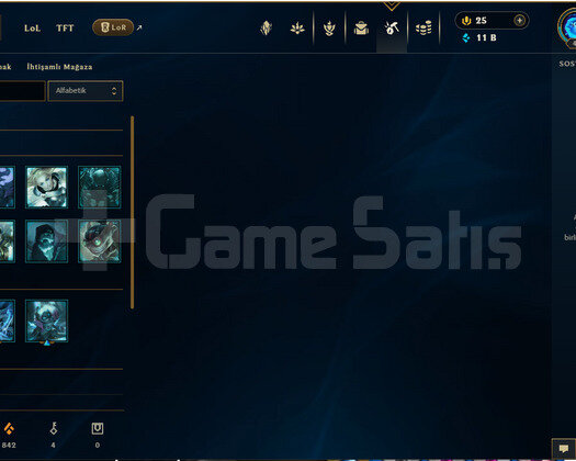 TR 40 LEVEL SHACO MAİN HESAP