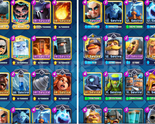 8000 KUPA & 14 MAX KART | 32 EMOJİ - 45 LV CR