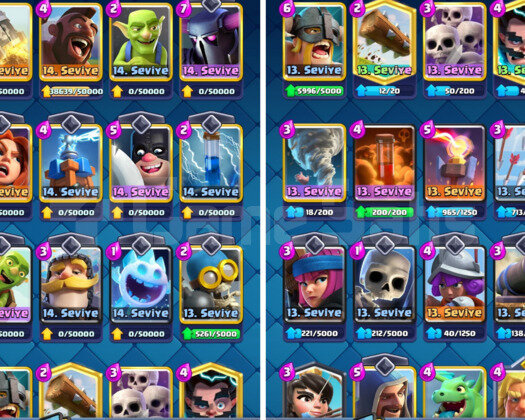 7001 KUPA & 13 MAX KART | 35 EMOJİ - 42 LV CR