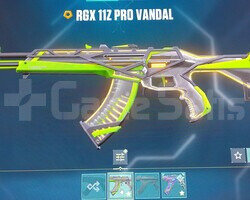 VALORANT RGX GARANTİLİ RANDOM HESAP!