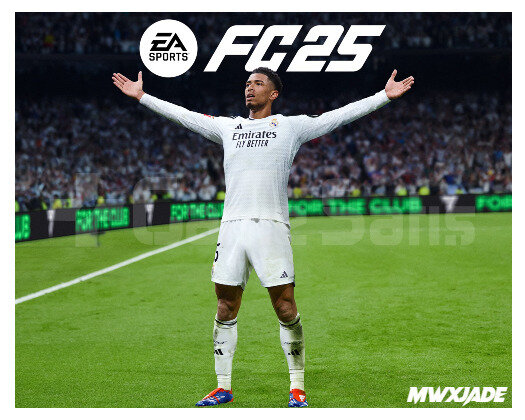 EA Sports FC 25 Ultimate Edition + PS4/PS5