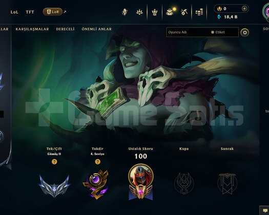 EUW Silver 2 | 5 Kostüm - 30 Hero | RANKED READY!