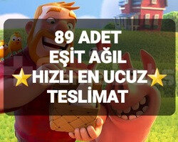 89 ADET EŞİT AĞIL