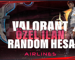 Özel ilab