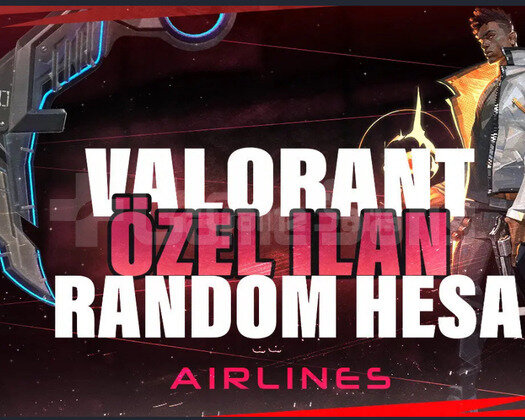 Özel ilab