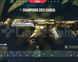 Ömürlük 340 lvl Champions 21 VCT Karambitli Hesap