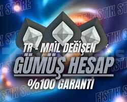 TR / GÜMÜŞ + MAİL DEĞİŞEN + GARANTİLİ