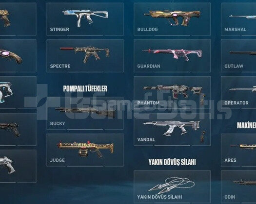Skinli Valorant Hesabı