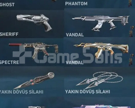 Skinli Valorant Hesabı