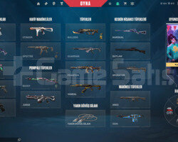 Full Vandal + Skinli Valorant Hesabı | Champ