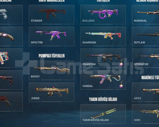 Skinli Valorant Hesabıı