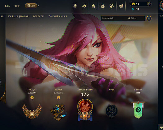 TR Gold 4 | 29 Kostüm - 70 Hero | LoL Hesap