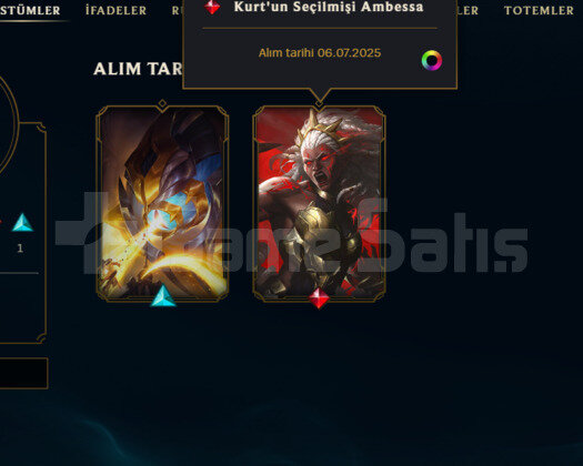 49 BİN MAVİ ÖZ / KALİTELİ KOSTÜMLER / UNRANKED