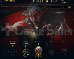 49 BİN MAVİ ÖZ / KALİTELİ KOSTÜMLER / UNRANKED