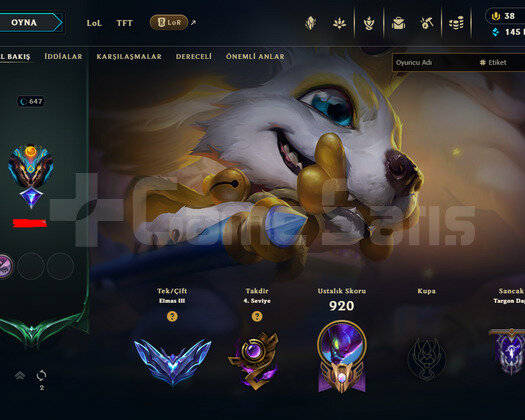 647 LEVEL / 506 SKIN / FULL HERO / +MAIL / ELMAS 3