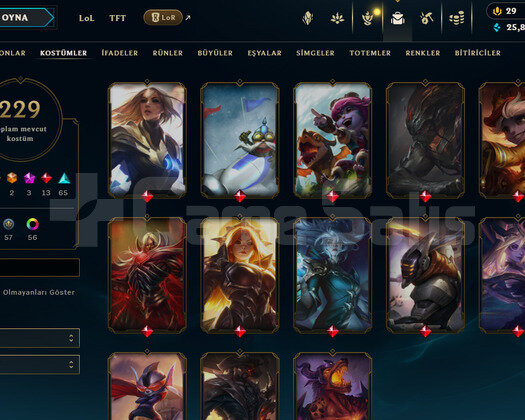 409 LEVEL / 229 SKIN / FULL HERO / +MAIL /  KAÇMAZ