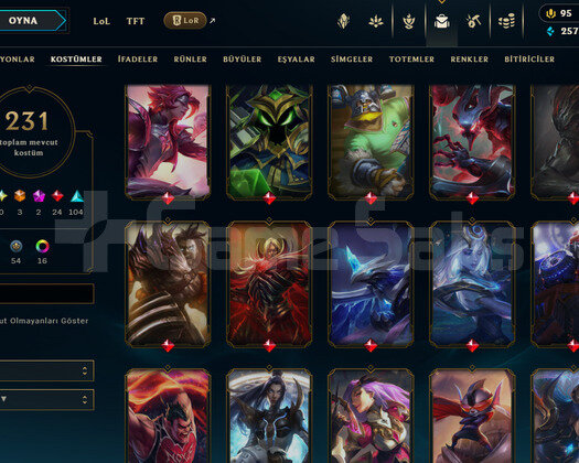 713 LEVEL / 231 SKIN / FULL HERO / +MAIL / KAÇMAZ