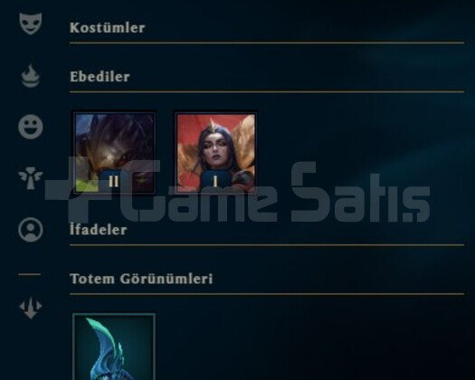 TR X 35 LVL X 2 SKIN X 22 HERO X 5K ÖZ X 300 ÖZ
