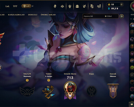 TR/ 491 LV / 252 SKIN / FULL HERO / 89.000 MAVİ ÖZ