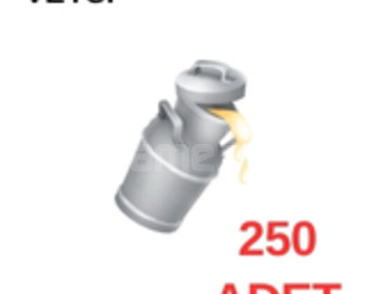 250 ADET SÜT HAY DAY