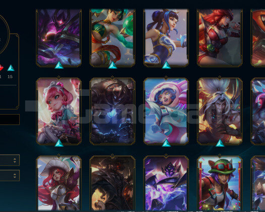 TR G4 23SKİN BOL YASUO VE ADC SKİNLİ ACC! HANDMADE