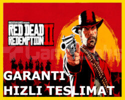 Red Dead Redemption 2 / RDR 2 + Garanti