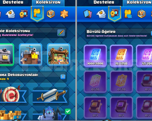 6530 KUPA & 13 MAX KART | 19 EMOJİ - 42 LVL CR