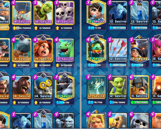 6530 KUPA & 13 MAX KART | 19 EMOJİ - 42 LVL CR