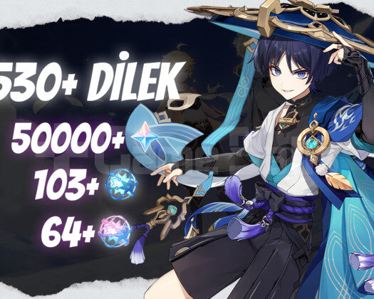 EU | MR50+ Wanderer + 50000 Köken 103/64