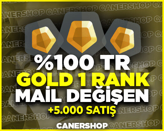 TR SUNUCU- GOLD 1 RANK - MAİL DEĞİŞEN 7/24 DESTEK