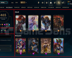 609 LEVEL / 465 SKIN / FULL HERO / +MAIL / +TEL