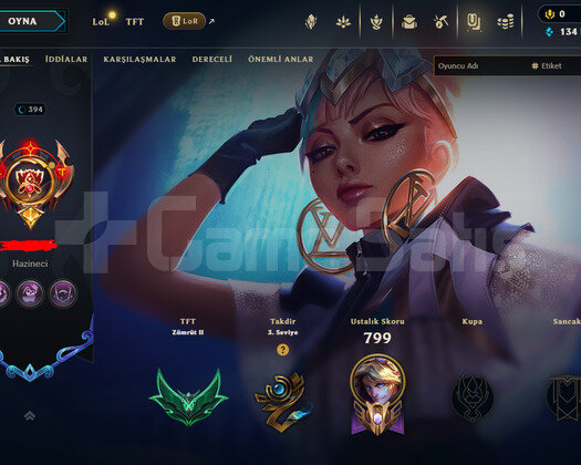 394 LEVEL / 434 SKIN / FULL HERO / +MAIL / +TEL