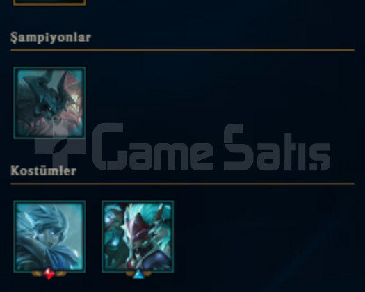 TR 28 LVL 13 HERO DERECELIYE 2 LEVEL UCUZ HESAP
