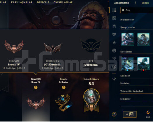 TR 6 KOSTUM 51 HERO HANDMADE BRONZ 4 GOBLIN HESAP
