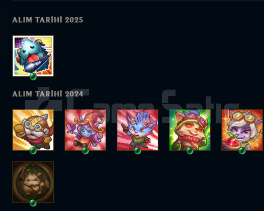 TR 11 SKIN 40 HERO 5 WIN SILVER 4 HANDMADE HESAP