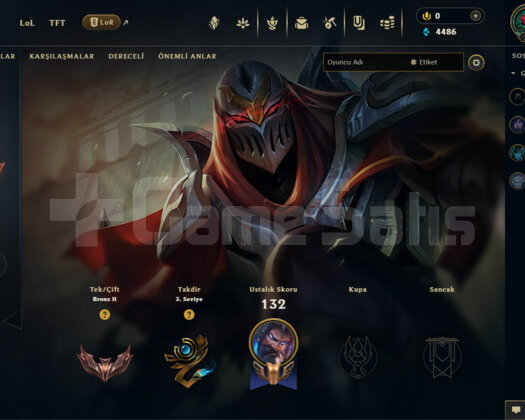 TR 7 SKIN 44 HERO BRONZ 2 GOBLIN HESAP