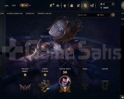 TR Demir 1 | 1 Kostüm - 29 Hero | LoL