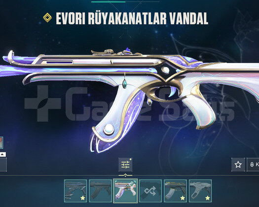 4 VANDALLI MAİNLİK ACC!