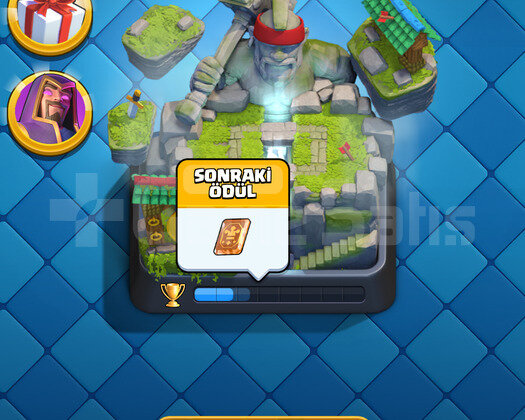 3000 kupa cr + 13000 kupa Brawl stars