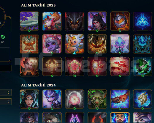 TR 40 SKIN 104 HERO ELMAS 4 EMEK HESABI MAINLIK