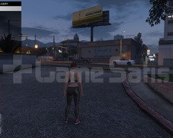 PS5 120 LEVEL 100 M VARLIK + NAKİT GTA V ONLİNE