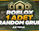 1 Adet Roblox Random Grup Teslim