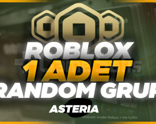 1 Adet Roblox Random Grup Teslim