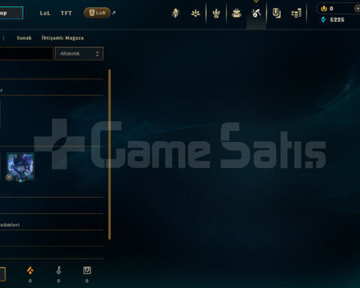 TR DEMİR 1 S12 HESABI