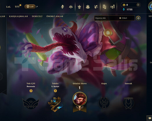 TR Unranked | 3 Kostüm - 24 Hero | RANKED READY!