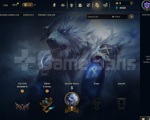 TR DEMİR 2 S12 HESABI