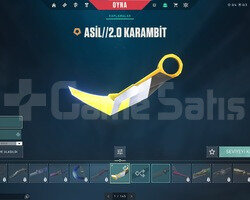 BETA HESABI 279 LEVEL ASİL KARAMBİTLİ DOLU HESAP