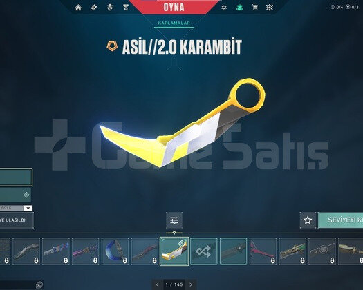 BETA HESABI 279 LEVEL ASİL KARAMBİTLİ DOLU HESAP