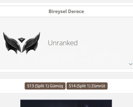 GEÇEN SEZON ZÜMRÜT / DERECELİ HAZIR / 675 RP